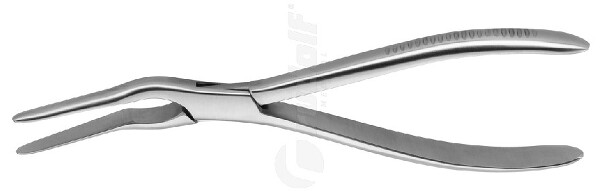 RU 8330-23 / Pinza Asch, 23cm, Angular