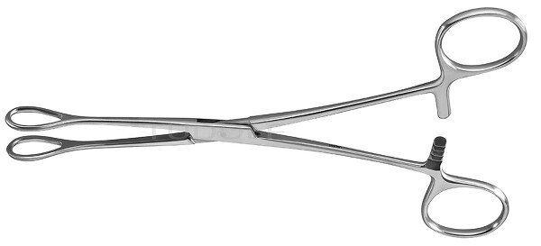 RU 3900-25 / Pinza Per Tamponi  Förster, Retta, Liscia 25,0 cm