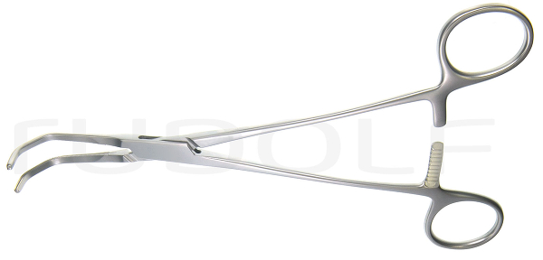 RU 7745-01 / Cooley Tang. Occl. Cl., 20 cm