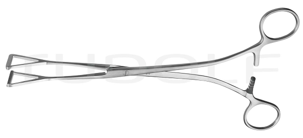 RU 6522-23 / Darmfasszange Duval, 23 cm