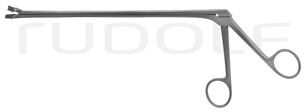 RU 7265-06P / Proclean, Biopsy Fcps. Schumacher 6 mm