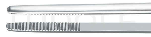 RU 7864-18 / Ohrpinzette Jansen/Grünwald, Bajonettförmig, 2,6 mm, 19,5 cm,