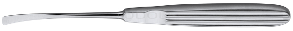 RU 5399-01 / Raspatorium, Caspar, Scharf 18 cm, 6,2 mm