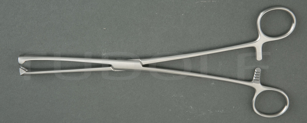 RU 7190-10 / Museux Ten. Fcps. Str., 10mm
, 24cm
