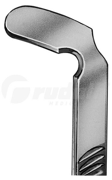 RU 8384-01 / Baja-Lengua Fig. 1, 34 x 20 mm