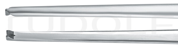 RU 4110-20 / Pince, Délicate, Droite, 1 x 2 Dents 20 cm
