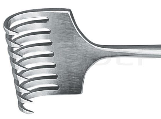 RU 4506-08 / Retractor Kocher, Sharp, 8 Prongs 22,5 cm
/8 3/4"