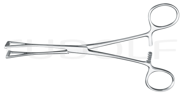 RU 6520-18 / Darmfasszange Duval, 18 cm