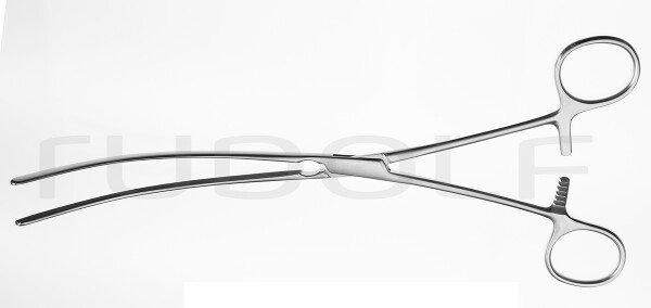 RU 6541-25 / Mayo-Robson Fcps., Cvd., 25cm