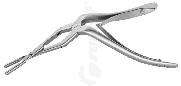 RU 8122-19 / P. Nasales Middleton-Jansen