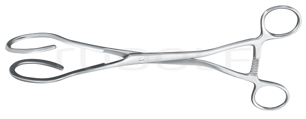 RU 7222-27 / Dartigues Uterine Fcps., 27cm
