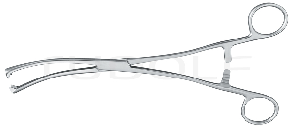RU 7191-10 / Museux Ten. Fcps. Cvd., 10mm
, 24cm
