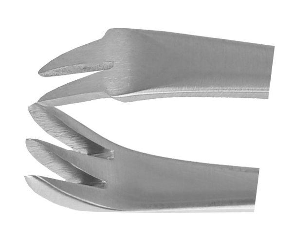 RU 3148-13 / Hemost. Forceps Chaput, (L) 14 cm - 5 1/2"