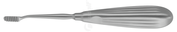 RU 8273-02 / Nasenraspel Lewis, Grob
