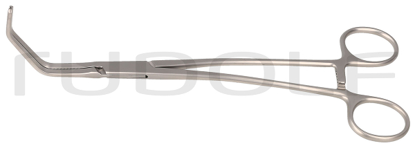 RU 7745-03 / Cooley Tang. Occl. Cl., 22 cm