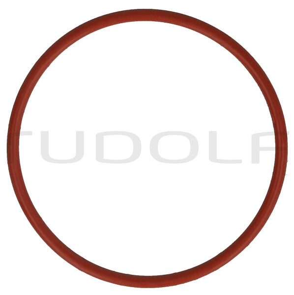 RZ006-100 / Anello Di Guarnizione, 10 Pezzi 10mm