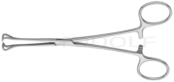 RU 6518-24 / Darmfasszange Babcock, 24 cm