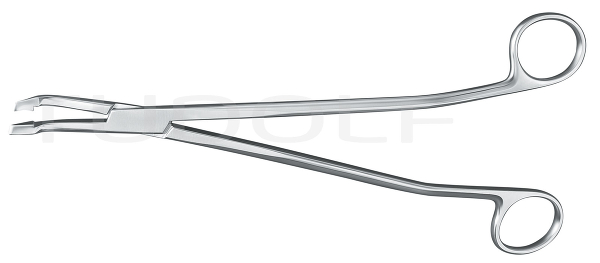 RU 7258-25 / Biopsy Forceps Van Doren, 25cm
