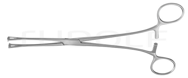 RU 6515-20 / Lockwood Forceps, 20cm