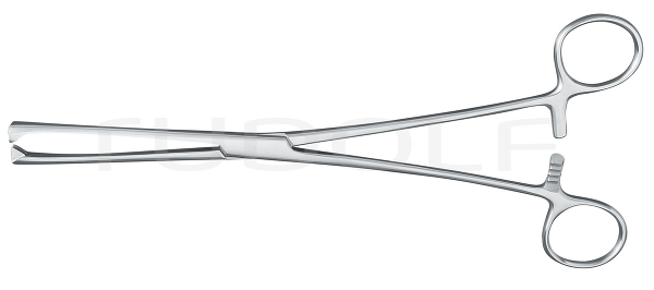 RU 7190-06 / Museux Ten. Fcps. Str., 6mm
, 24cm
