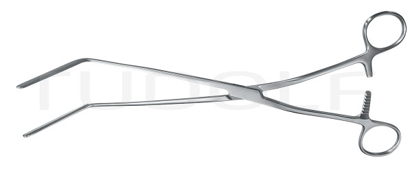 RU 6544-30 / Resano Intest. Fcps., 30cm