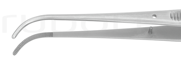 RU 4051-17 / Dressing Forceps Taylor, Cvd., (L) 17,5cm
 - 7"