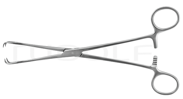 RU 7180-20 / Schröder Tenac. Fcps., Str., 20cm
