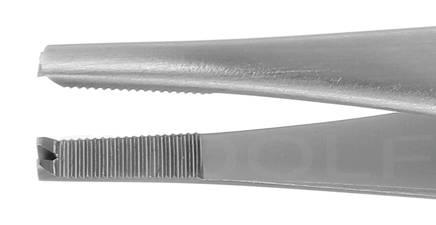 RU 4226-14 / Tissue Fcps. Lane, Str., 1x2 T. 14,5 cm, 5,75"