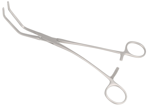 RU 7745-04 / Cooley Tang. Occl. Cl., 23,5 cm