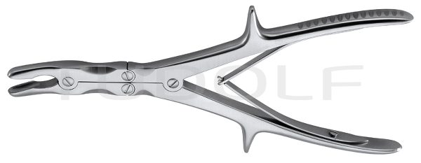 RU 5604-23 / Pinza Sgorbia Stille-Ruskin