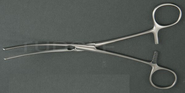 RU 6541-21 / Mayo-Robson Fcps., Cvd., 21cm