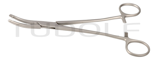 RU 3386-11 / Hyst. Fcps Heaney-Ballentine, Cvd., 1T. 21 cm, 8,25"