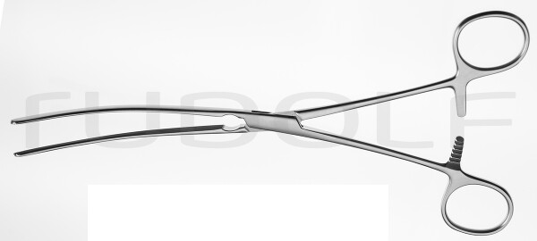 RU 6541-23 / Mayo-Robson Fcps., Cvd., 23cm