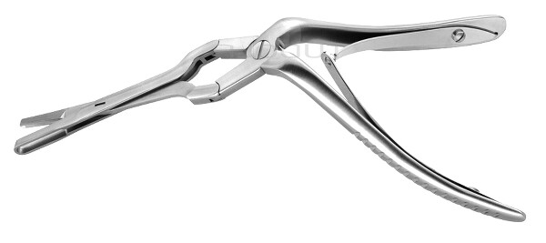 RU 8121-19 / P. Nasales Middleton-Jansen