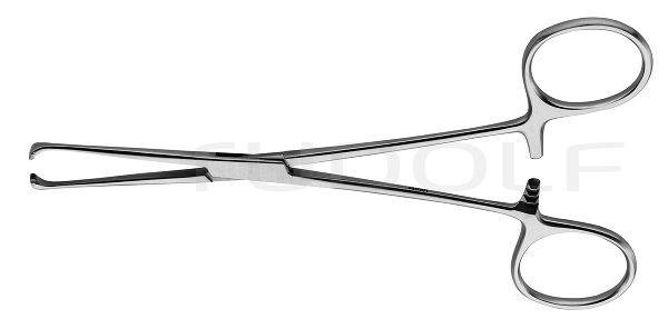 RU 6504-12 / Darmfaßzange Baby-Allis, 12 cm