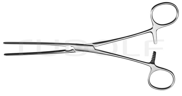 RU 6530-21 / Doyen, Forceps, Str., 21cm
