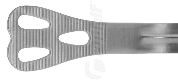 RU 8442-01 / Wieder Tongue Depr., Small, Fenestr.