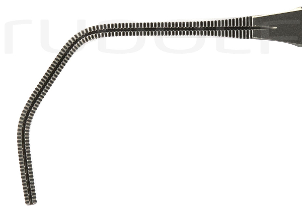 RU 7745-01 / Cooley Tang. Occl. Cl., 20 cm