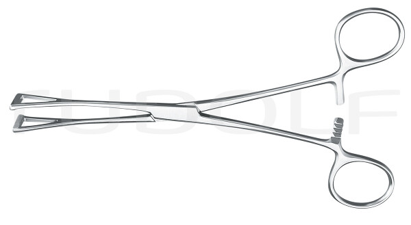 RU 6520-18 / Duval Forceps, Narrow, 18cm