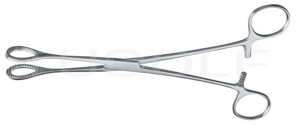 RU 6617-21 / Pinza Heywood-Smith, Recta, 21 cm