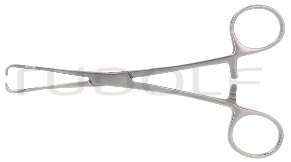 RU 6280-15 / Kropffasszange Lahey, 15 cm