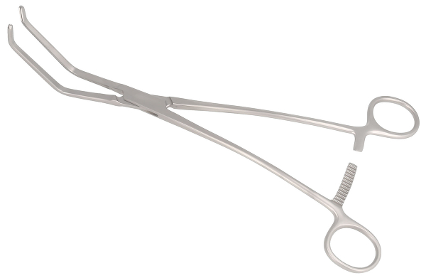 RU 7745-05 / Cooley Tang. Occl. Cl., 27,5 cm