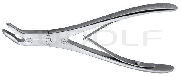 RU 5594-02 / Pinza Sgorbia Ruskin