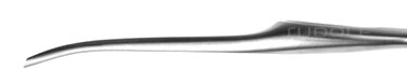 RU 5385-10 / Periostotomo Lambotte, Largo