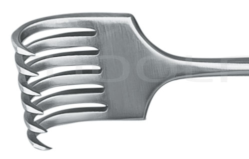 RU 4506-06 / Retractor Kocher, Sharp, 6 Prongs 22,5 cm
/8 3/4"
