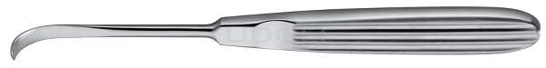 RU 8231-06 / Raspatorium, 17 cm, 6 mm