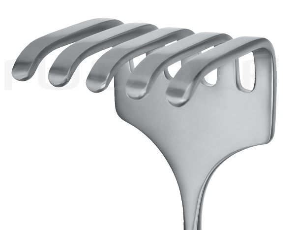 RU 4517-02 / Israel 5Prongs 45x50 mm, 25 cm