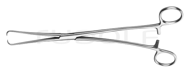 RU 7157-24 / Traction Tenaculum Kahn 24,5cm
, 9 3/4"