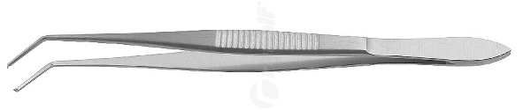 RU 9956-11 / Superior Rectus Forceps 11cm
/4 1/4"