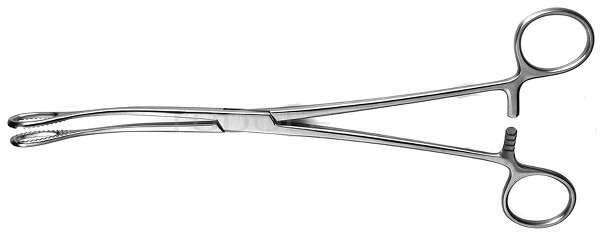 RU 3911-18 / Pinza Per Spugne Förster, Curva, Striata 18,0 cm